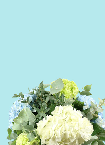 Same day Flowers Cambridge Heath